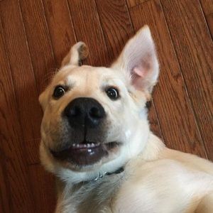 Meet your Posher, Cheryl